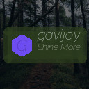 gavijoy